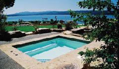 rectangular pool with an ocean view